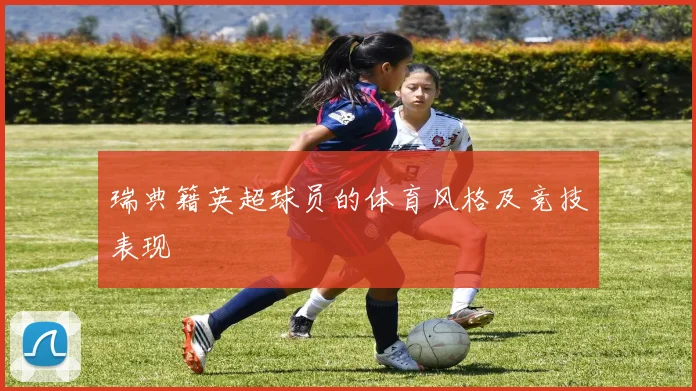 瑞典籍英超球员的体育风格及竞技表现