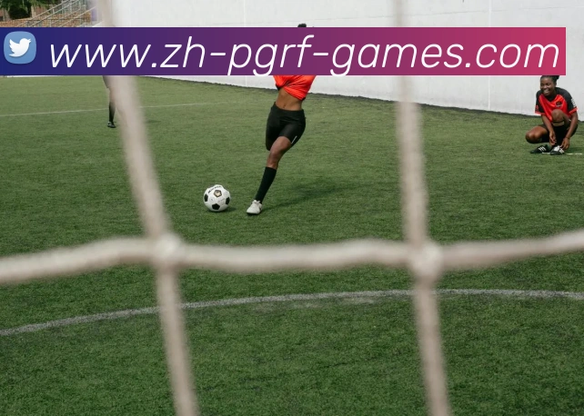 数据防护可视化